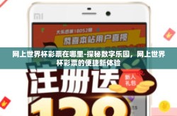 网上世界杯彩票在哪里-探秘数字乐园，网上世界杯彩票的便捷新体验