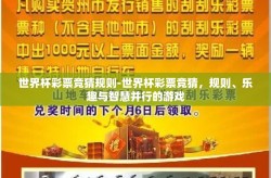 世界杯彩票竞猜规则-世界杯彩票竞猜，规则、乐趣与智慧并行的游戏