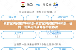 支付宝购买世界杯彩票-支付宝购买世界杯彩票，便捷、刺激与挑战并存的新体验