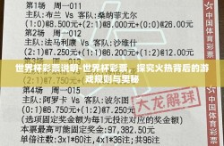 世界杯彩票说明-世界杯彩票，探究火热背后的游戏规则与奥秘