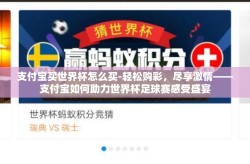 支付宝买世界杯怎么买-轻松购彩，尽享激情——支付宝如何助力世界杯足球赛感受盛宴
