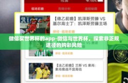 微信买世界杯的app-微信与世界杯，探索非正规途径的购彩风险