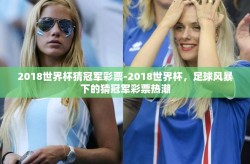 2018世界杯猜冠军彩票-2018世界杯，足球风暴下的猜冠军彩票热潮