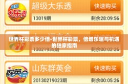 世界杯彩票多少倍-世界杯彩票，倍增乐趣与机遇的独家指南