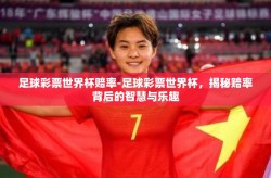 足球彩票世界杯赔率-足球彩票世界杯，揭秘赔率背后的智慧与乐趣