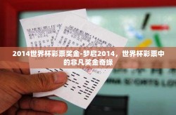2014世界杯彩票奖金-梦启2014，世界杯彩票中的非凡奖金奇缘