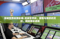 足球世界杯博彩网-足球世界杯，激情与博弈的交织，网络博彩透视