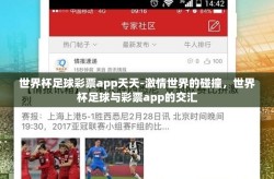 世界杯足球彩票app天天-激情世界的碰撞，世界杯足球与彩票app的交汇