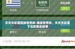 天天中彩票赢球世界杯-激战世界杯，天天中彩票下注的背后故事