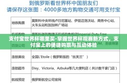 支付宝世界杯哪里买-掌握世界杯观赛新方式，支付宝上的便捷购票与互动体验