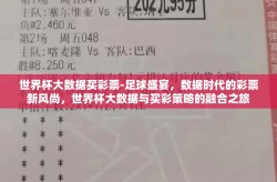 世界杯大数据买彩票-足球盛宴，数据时代的彩票新风尚，世界杯大数据与买彩策略的融合之旅