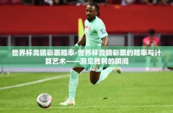 世界杯竞猜彩票赔率-世界杯竞猜彩票的赔率与计算艺术——洞见胜利的瞬间