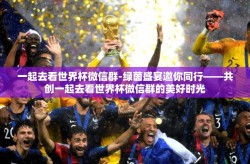 一起去看世界杯微信群-绿茵盛宴邀你同行——共创一起去看世界杯微信群的美好时光