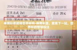 体育彩票能赌世界杯吗-体育彩票，聚焦下一站，世界杯的智慧投注