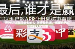 世界杯彩票赢最多的人-激情与机遇，揭秘世界杯彩票的大奖赢家
