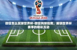 微信怎么买球世界杯-微信购球指南，解锁世界杯赛事的精彩互动