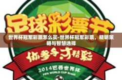 世界杯冠军彩票怎么买-世界杯冠军彩票，精明策略与智慧选择