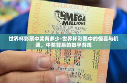 世界杯彩票中奖有多少-世界杯彩票中的惊喜与机遇，中奖背后的数字游戏