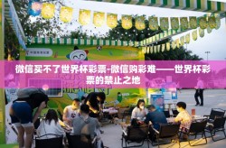 微信买不了世界杯彩票-微信购彩难——世界杯彩票的禁止之地