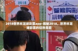 2018世界杯足球彩票app-揭秘2018，世界杯足球彩票的狂热背后