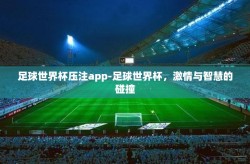 足球世界杯压注app-足球世界杯，激情与智慧的碰撞