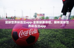 足球世界杯压注app-全新球赛体验，解析足球世界杯压注app
