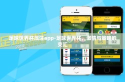 足球世界杯压注app-足球世界杯，激情与策略的交汇