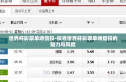 世界杯彩票单场倍投-探寻世界杯彩票单场倍投的魅力与风险