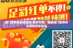 澳门世界杯彩票玩法-步步为营，揭秘澳门世界杯彩票的多彩玩法