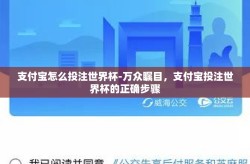 支付宝怎么投注世界杯-万众瞩目，支付宝投注世界杯的正确步骤