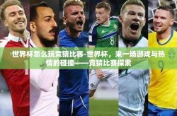 世界杯怎么玩竞猜比赛-世界杯，来一场游戏与热情的碰撞——竞猜比赛探索