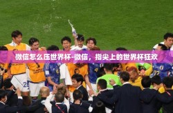微信怎么压世界杯-微信，指尖上的世界杯狂欢