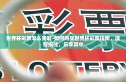 世界杯彩票怎么买啊-如何购买世界杯彩票指南，理智投注，乐享其中