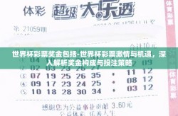 世界杯彩票奖金包括-世界杯彩票激情与机遇，深入解析奖金构成与投注策略