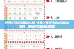 世界杯冠军彩票怎么玩-世界杯冠军预测的乐趣与策略，揭秘彩票玩法新指南