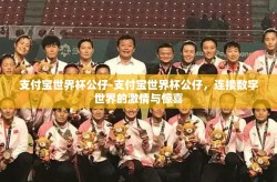 支付宝世界杯公仔-支付宝世界杯公仔，连接数字世界的激情与惊喜