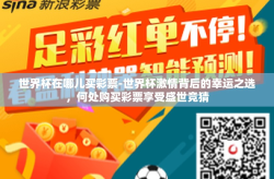 世界杯在哪儿买彩票-世界杯激情背后的幸运之选，何处购买彩票享受盛世竞猜