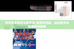 世界杯竞猜投注胜平负-世界杯竞猜，投注胜平负的激情与策略