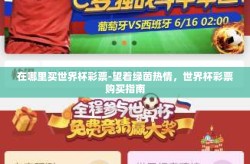 在哪里买世界杯彩票-望着绿茵热情，世界杯彩票购买指南