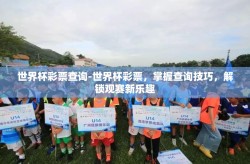 世界杯彩票查询-世界杯彩票，掌握查询技巧，解锁观赛新乐趣