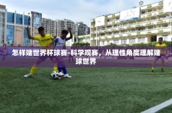 怎样赌世界杯球赛-科学观赛，从理性角度理解赌球世界