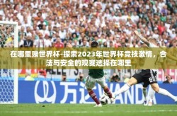 在哪里赌世界杯-探索2023年世界杯竞技激情，合法与安全的观赛选择在哪里