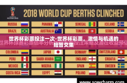 世界杯彩票投注一次-世界杯彩票，激情与机遇的短暂交集