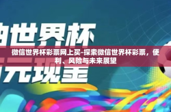 微信世界杯彩票网上买-探索微信世界杯彩票，便利、风险与未来展望