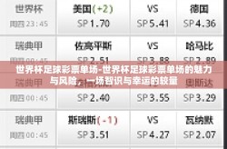 世界杯足球彩票单场-世界杯足球彩票单场的魅力与风险，一场智识与幸运的较量