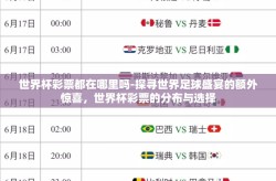 世界杯彩票都在哪里吗-探寻世界足球盛宴的额外惊喜，世界杯彩票的分布与选择