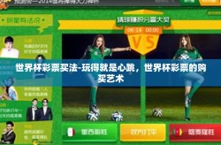 世界杯彩票买法-玩得就是心跳，世界杯彩票的购买艺术
