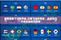 在哪里能下注世界杯-正确下注世界杯，全球热门平台的回顾与指南