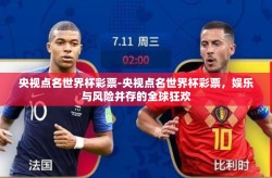 央视点名世界杯彩票-央视点名世界杯彩票，娱乐与风险并存的全球狂欢