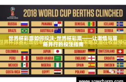 世界杯彩票如何投注-世界杯彩票——让激情与策略并行的投注指南